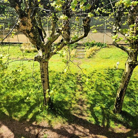 Villa Castel Maison-Table D'Hotes & Jardin-Refuge De Biodiversite Rillieux-la-Pape Dış mekan fotoğraf