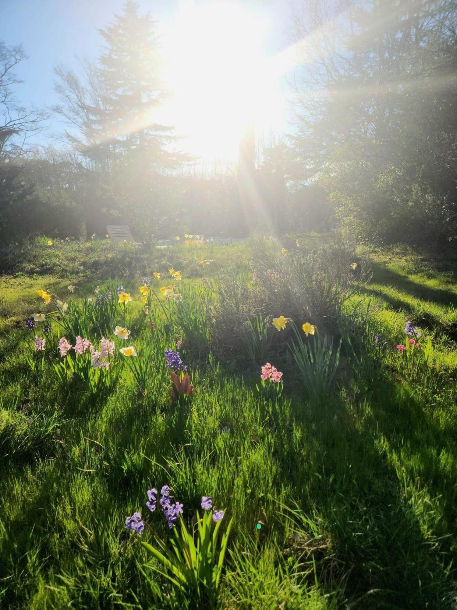 Villa Castel Maison-Table D'Hotes & Jardin-Refuge De Biodiversite Rillieux-la-Pape Dış mekan fotoğraf