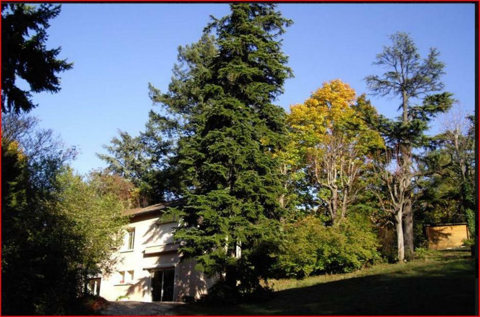 Villa Castel Maison-Table D'Hotes & Jardin-Refuge De Biodiversite Rillieux-la-Pape Dış mekan fotoğraf