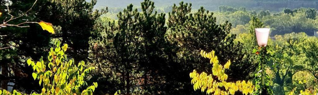 Villa Castel Maison-Table D'Hotes & Jardin-Refuge De Biodiversite Rillieux-la-Pape Dış mekan fotoğraf